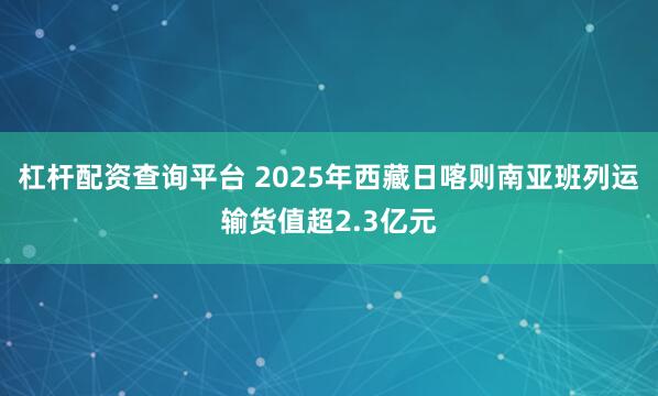 杠杆配资查询平台 2025年西藏日喀则南亚班列运输货值超2.3亿元